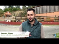 Alternativas para el descanso de las vacas y sus costes en Galicia