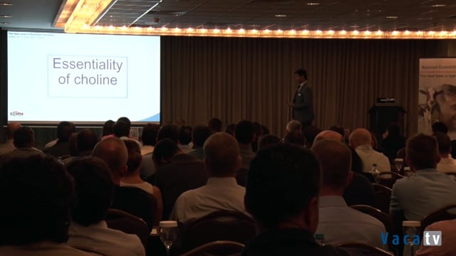 Importance of choline in dairy cows