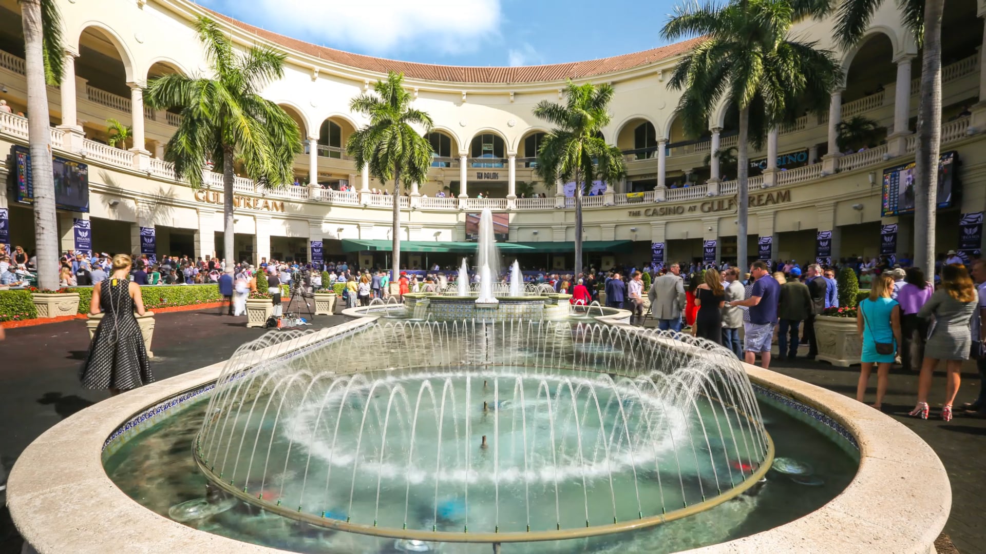 PEGASUS WORLD CUP TIME LAPSES