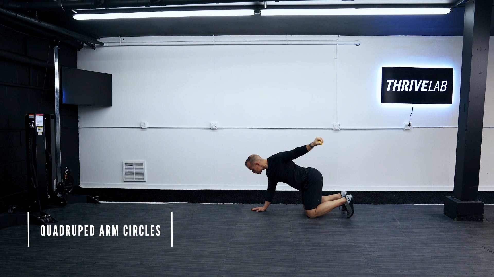 QUADRUPED ARM CIRCLES on Vimeo