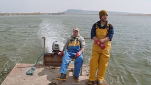 Dorset Coastal Stories - Aquaculture: Open for Business