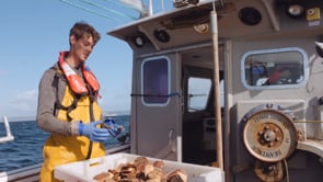 Dorset Coastal Stories - Young and Fishing with Sam Shuker
