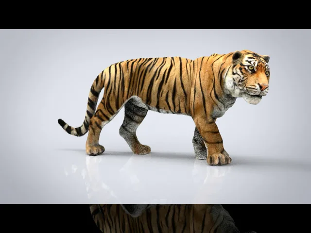 Tiger - 3D Elements - Photography, Animals, Birds, & Fish, Wild