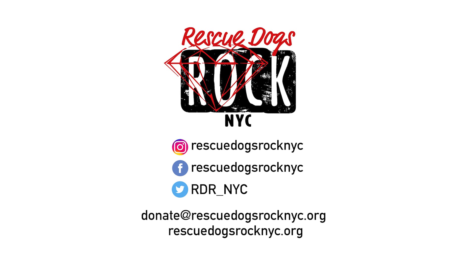 RESCUE DOGS ROCK 2019