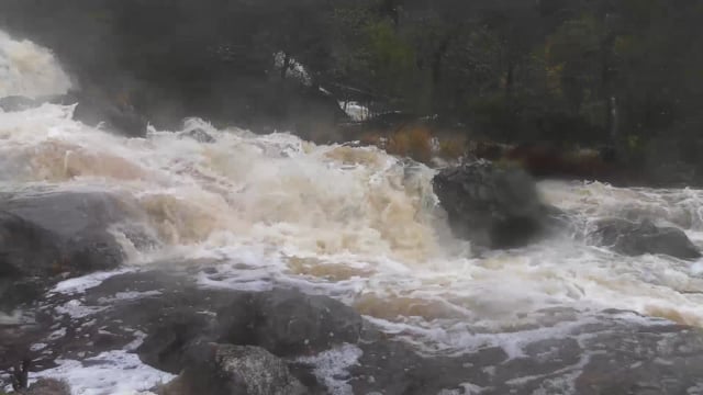 Песни водопадами падали