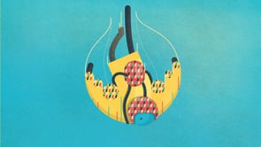 The California Endowment - Customer Success Story