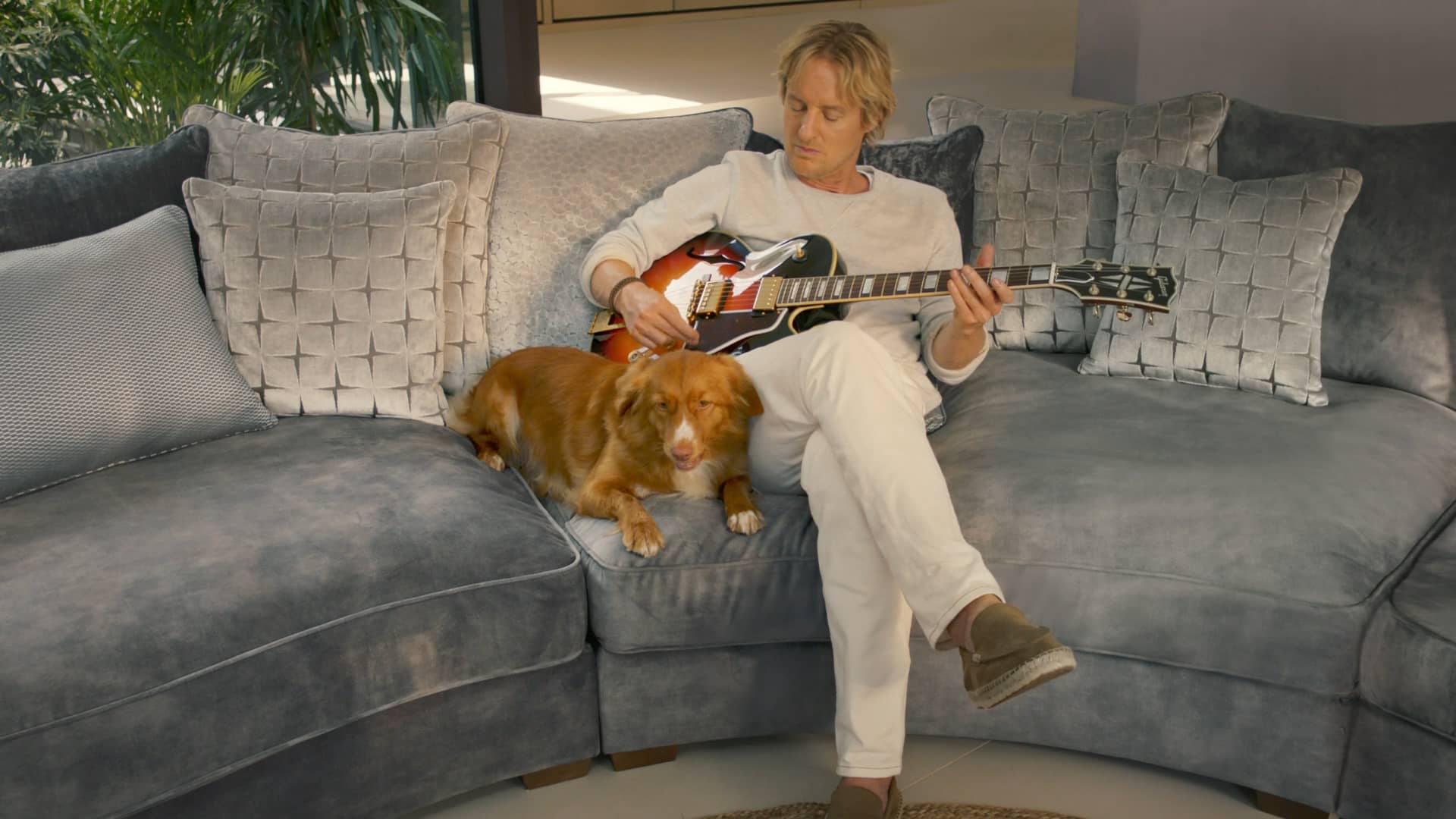 Sofology Owen Wilson Alpha Century Online & Social Film on Vimeo