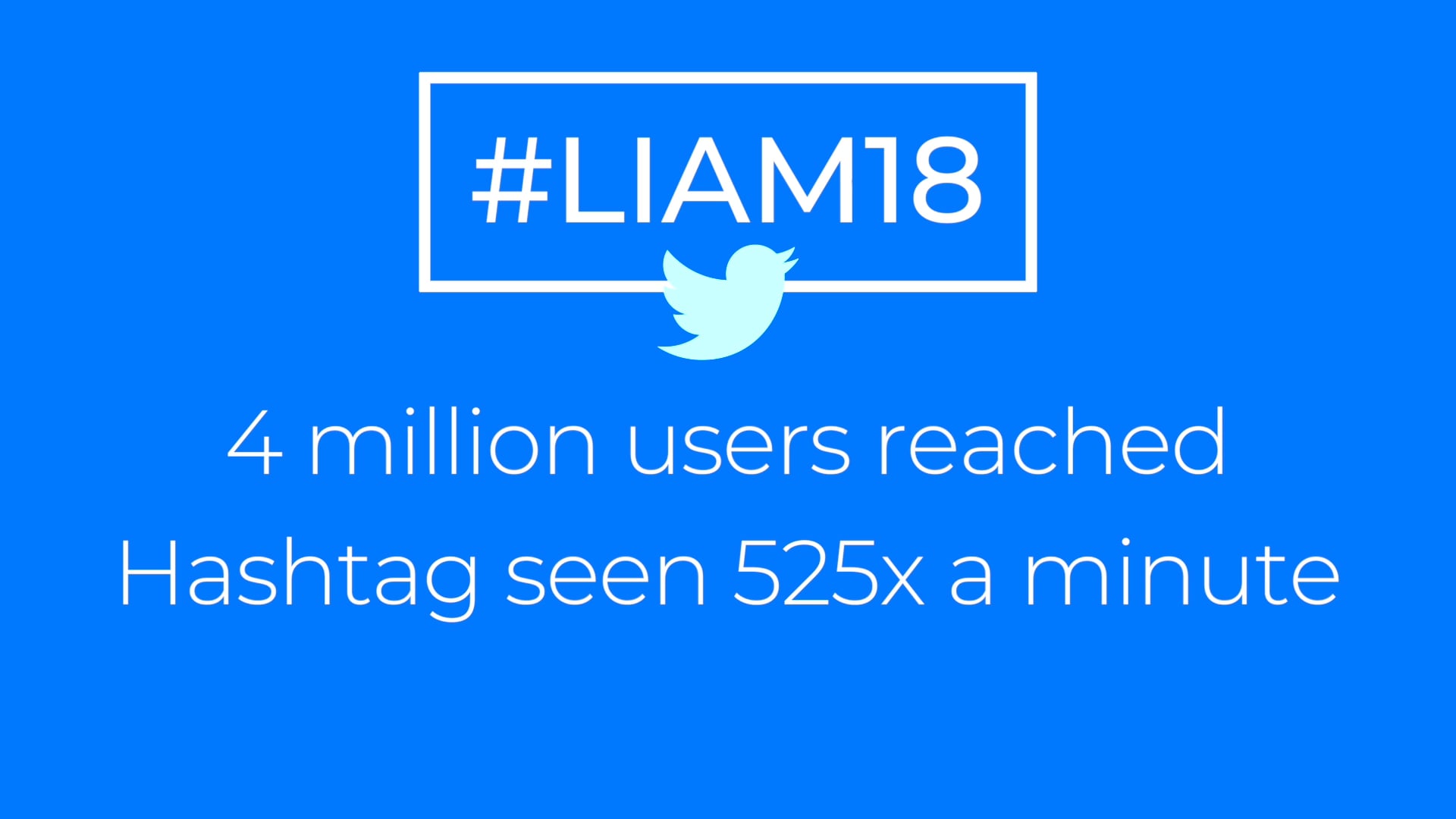 Campaign Hightlights