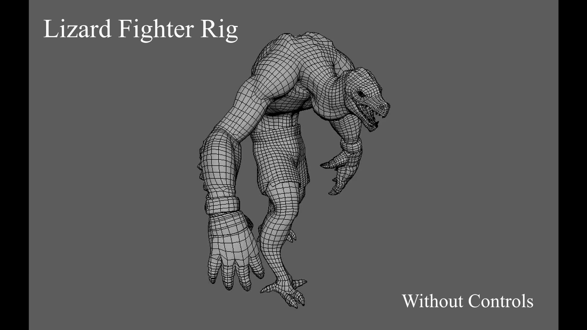 Lizard Fighter Rig