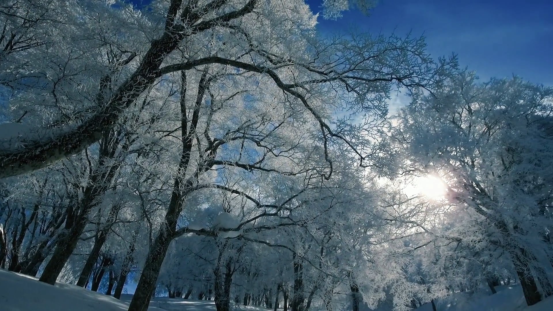 One day in winter...