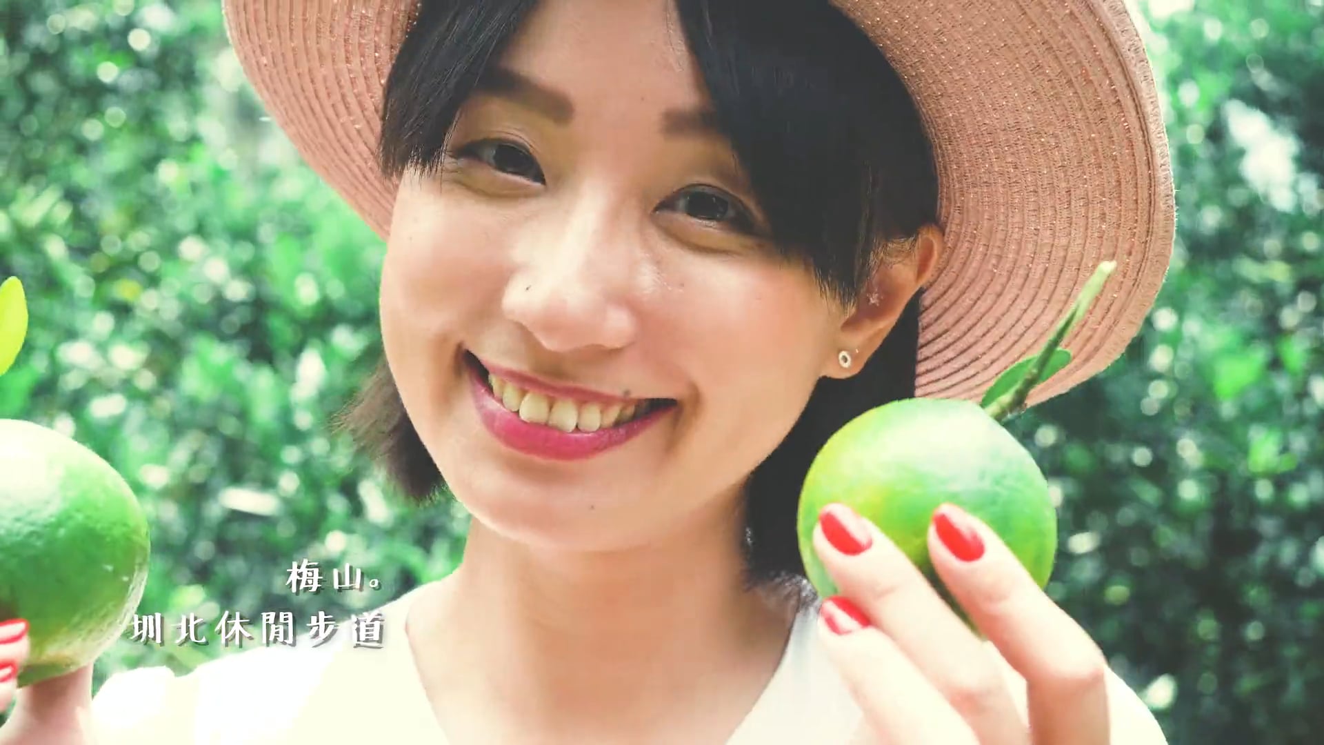 【嘉義梅山大林】2019 觀光形象片