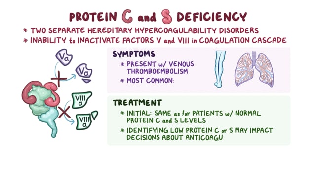 Rare Disease Video - Protein C and Protein S Deficiency - National  Organization for Rare Disorders