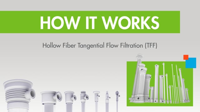 How it Works: Hollow Fiber TFF (Tangential Flow Filtration)
