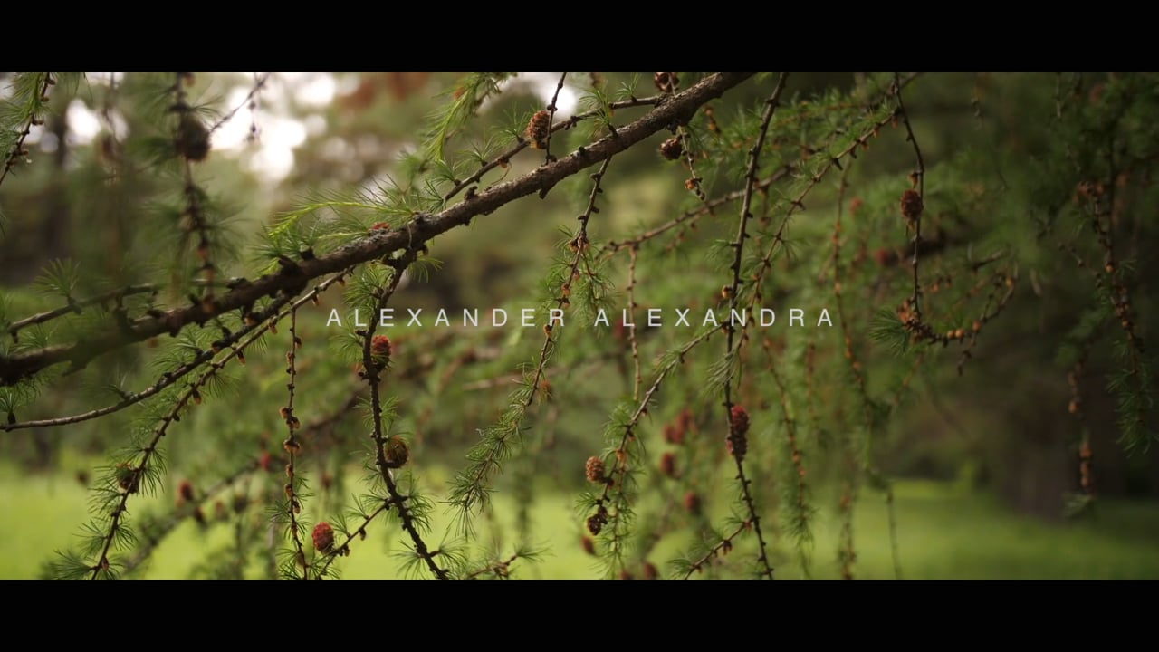 010619 Alexander & Alexandra Wedding day