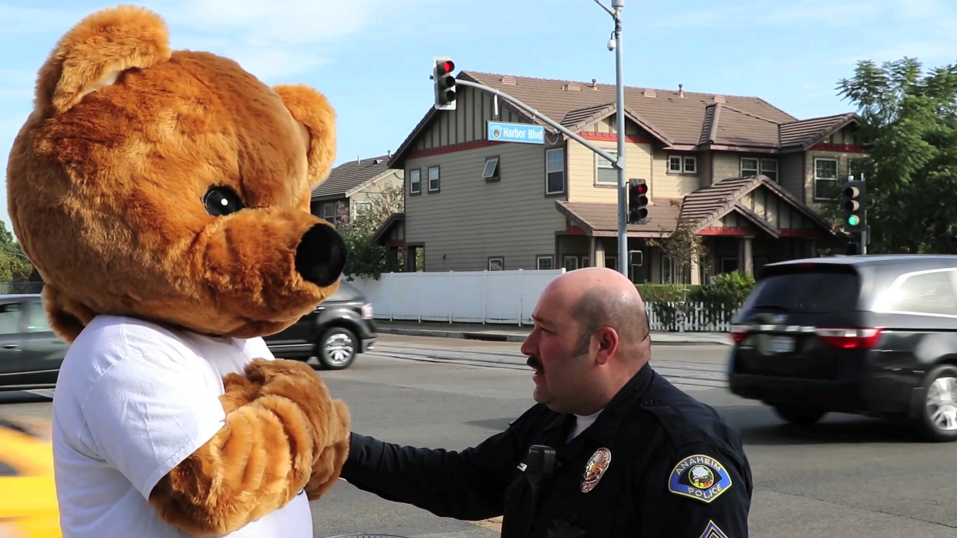 APD Street Crossing