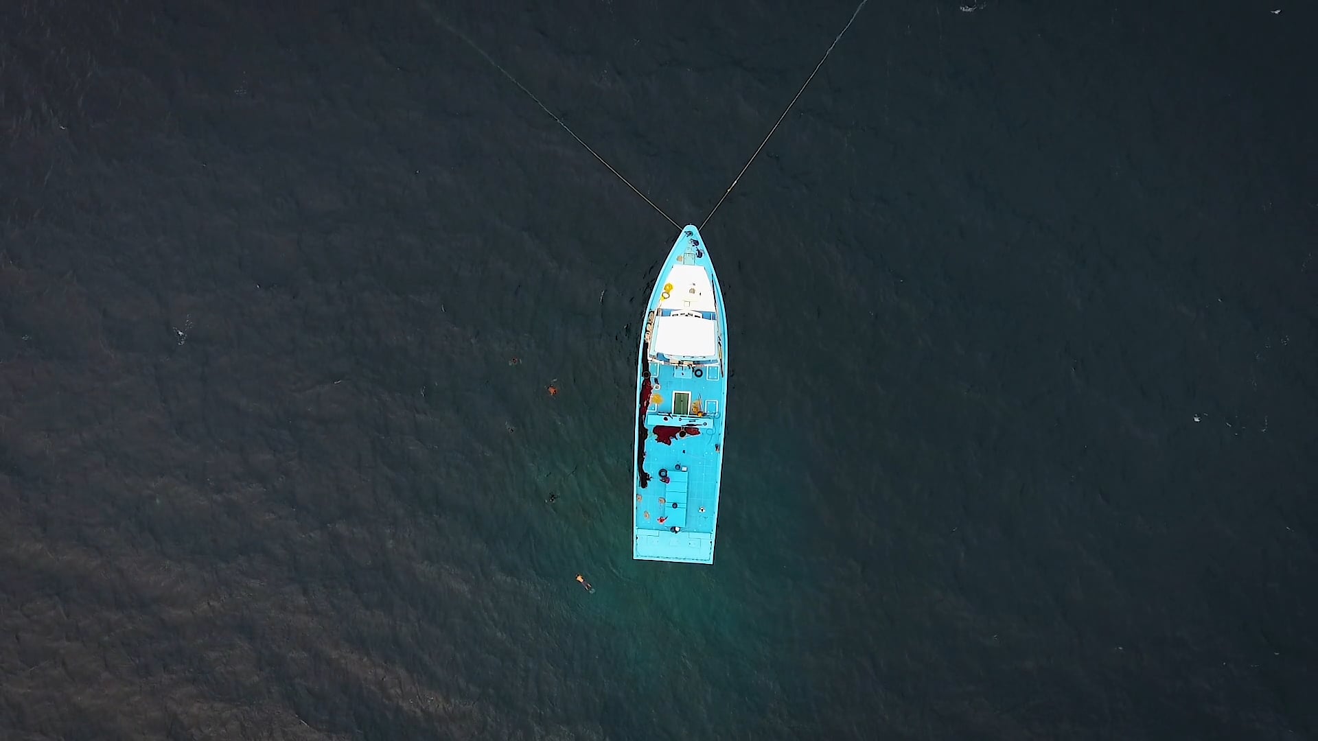 Cinematography Reel