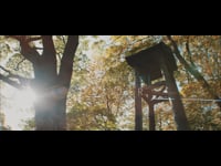 Teaser 