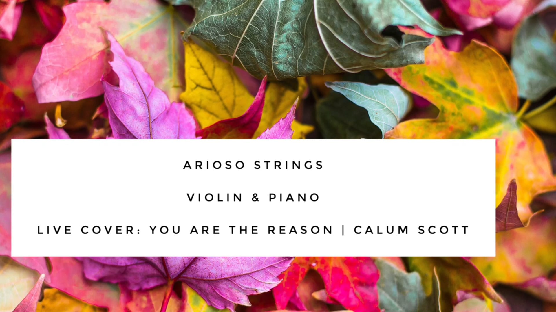 Promotional video thumbnail 6 for Arioso Strings