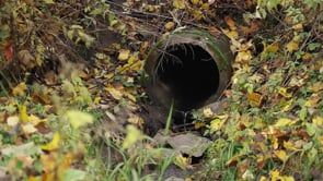 Höstfärger 2019: Bilder från Ekenäs