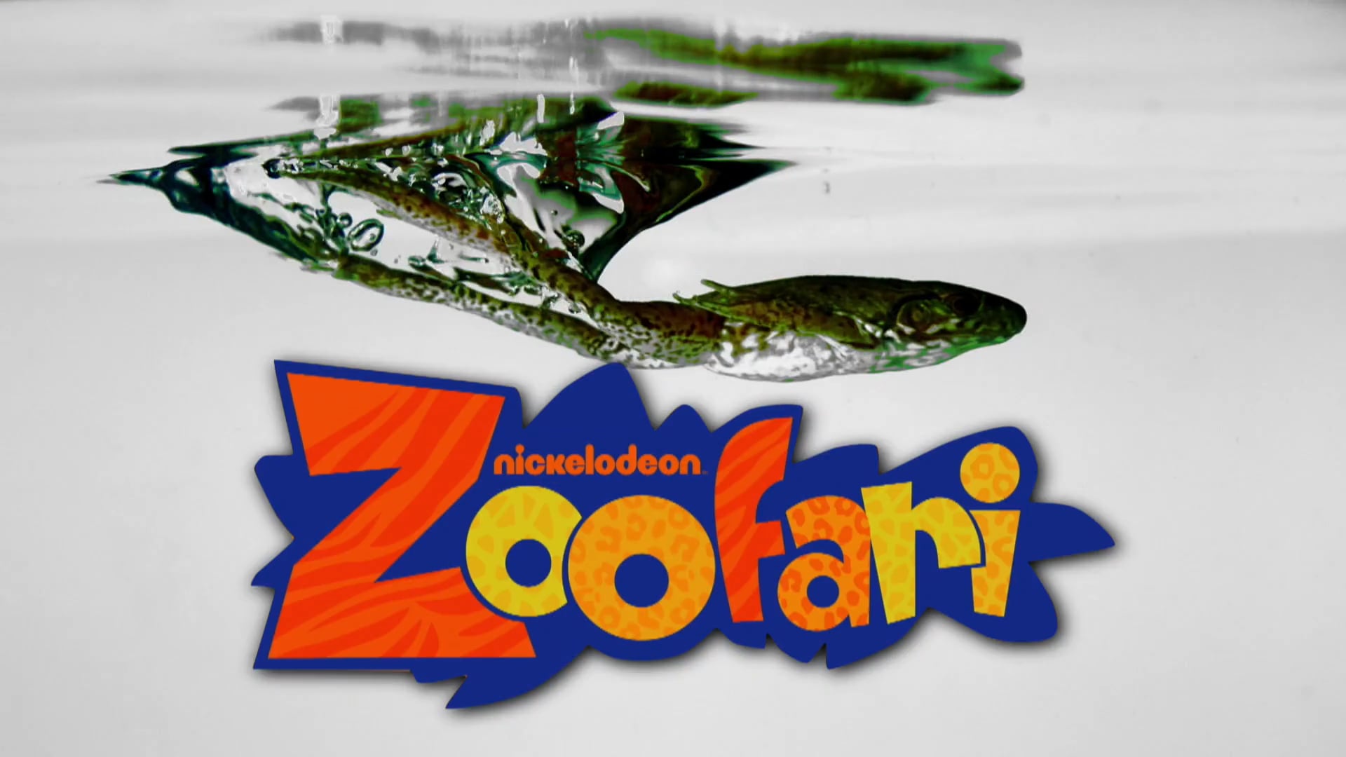 NickHd+ Zoofari promo on Vimeo