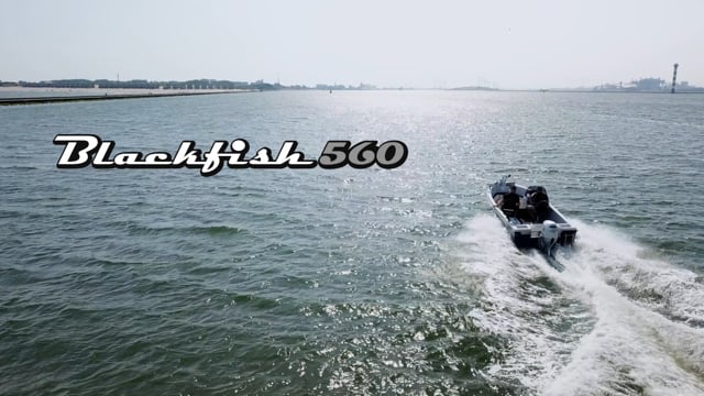 Promo Blackfish 560 Orka Boats