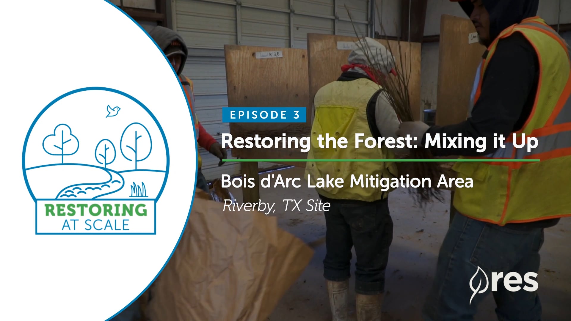 Restoring at Scale: Episode 3 - Restoring the Forest