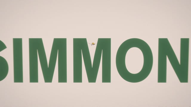  - SIMMONS_HAMMOCK - 2019