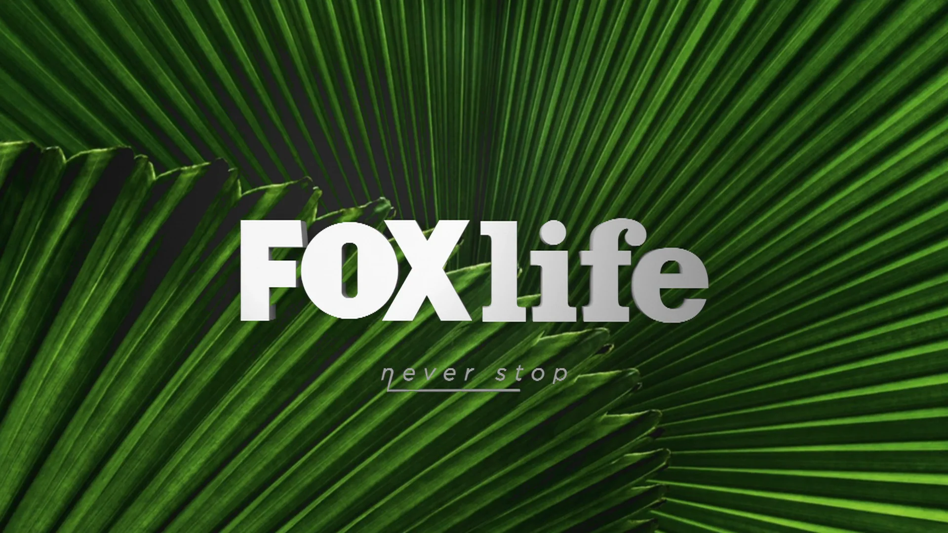 Fox shop life online