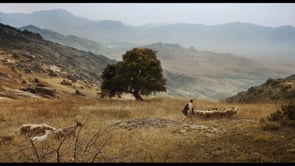 Willow Trailer