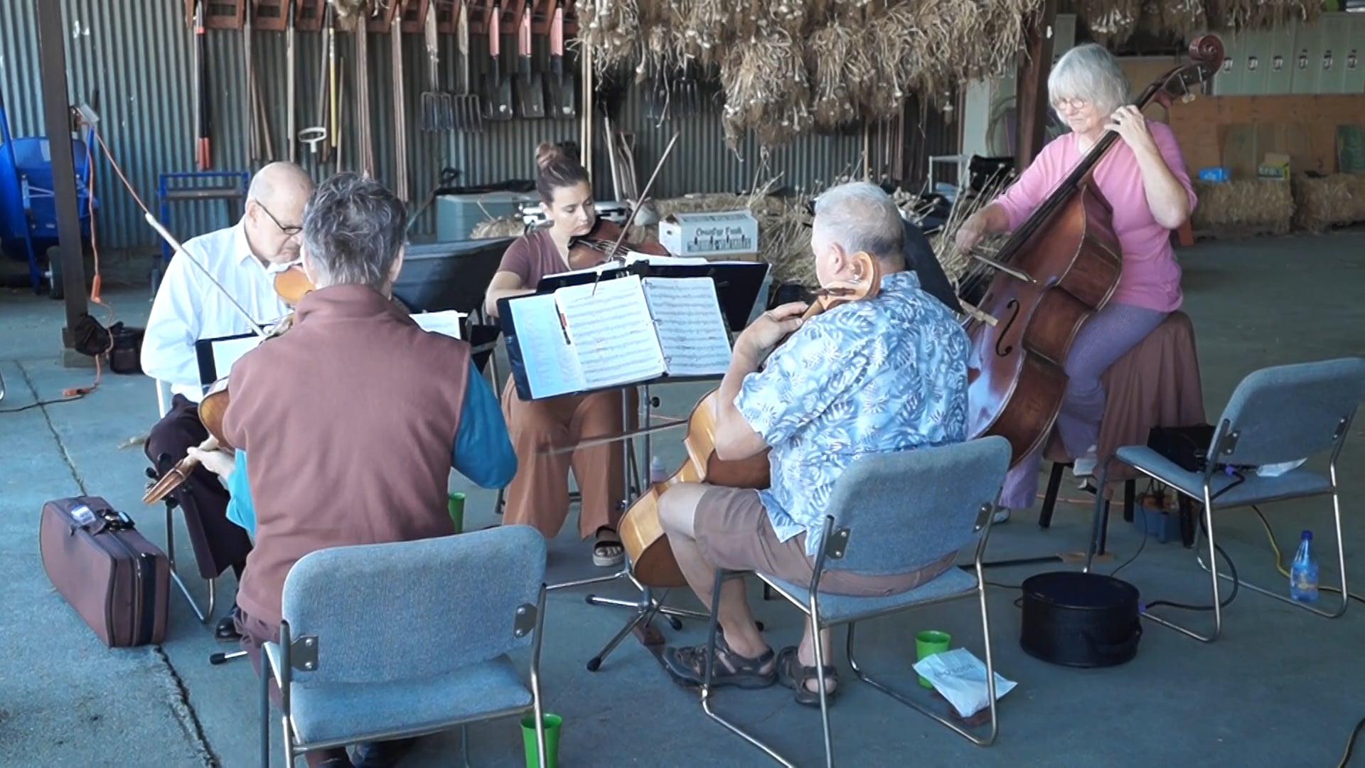 Promotional video thumbnail 2 for Millington Strings