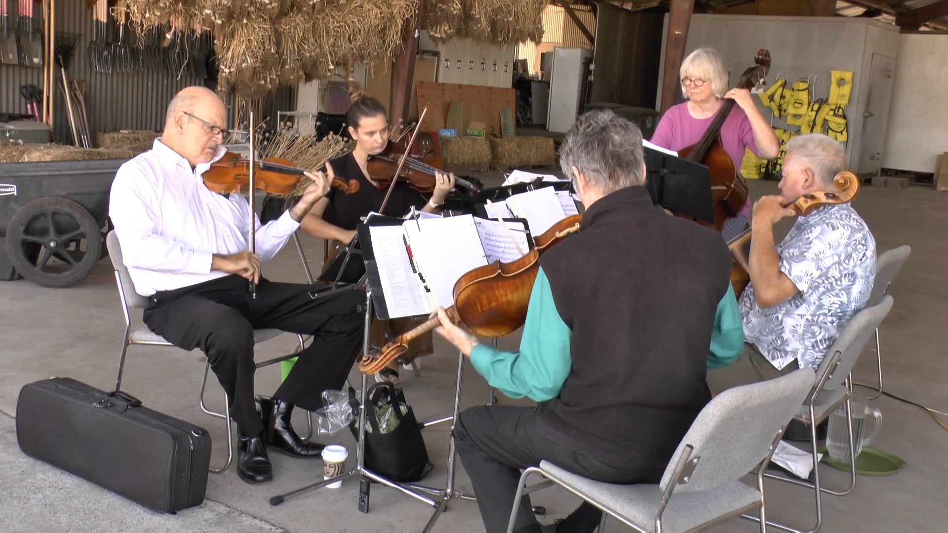 Promotional video thumbnail 5 for Millington Strings