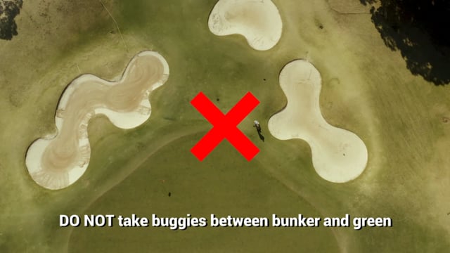 Bunkers and Greens