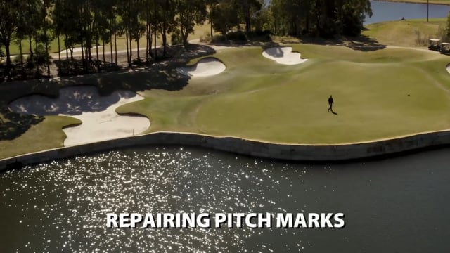 Repairing Pitch Marks