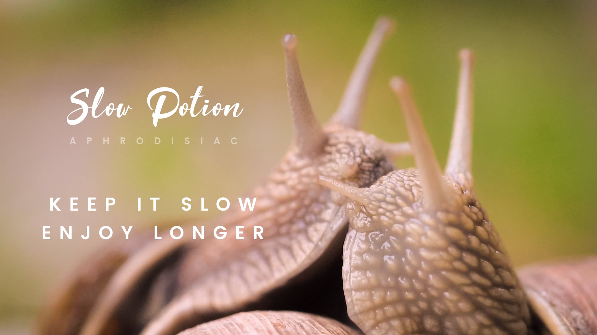 Slow Potion