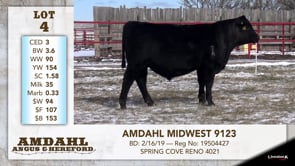 Lot #4 - AMDAHL MIDWEST 9123