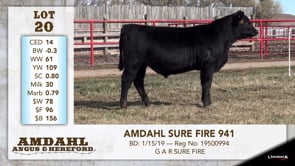 Lot #20 - AMDAHL SURE FIRE 941