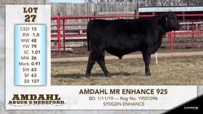Lot #27 - AMDAHL MR ENHANCE 925