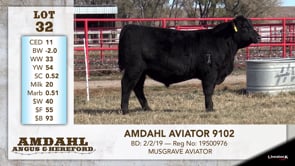 Lot #32 - AMDAHL AVIATOR 9102
