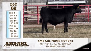 Lot #62 - AMDAHL PRIME CUT 963