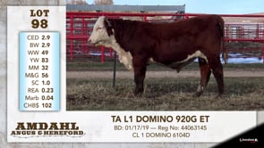 Lot #98 - TA L1 DOMINO 920G ET