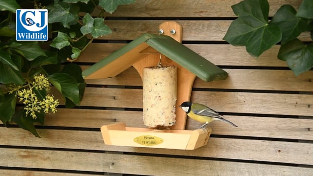 CJ Wildlife Combihouse Peanut Cake Tube Feeder