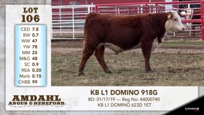 Lot #106 - KB L1 DOMINO 918G