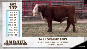 Lot #107 - TA L1 DOMINO 919G