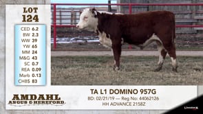 Lot #124 - TA L1 DOMINO 957G