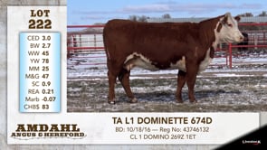 Lot #222 - TA L1 DOMINETTE 674D