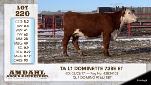 Lot #220 - TA L1 DOMINETTE 738E ET