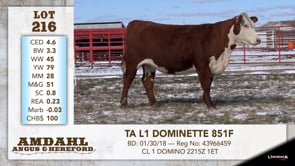 Lot #216 - TA L1 DOMINETTE 851F