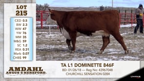 Lot #215 - TA L1 DOMINETTE 846F
