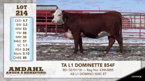 Lot #214 - TA L1 DOMINETTE 854F
