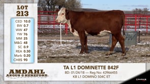 Lot #213 - TA L1 DOMINETTE 842F